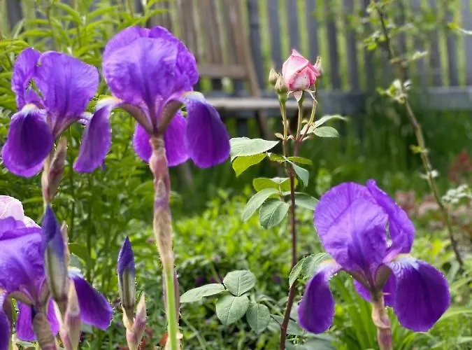 Fam. Lerch Apartment